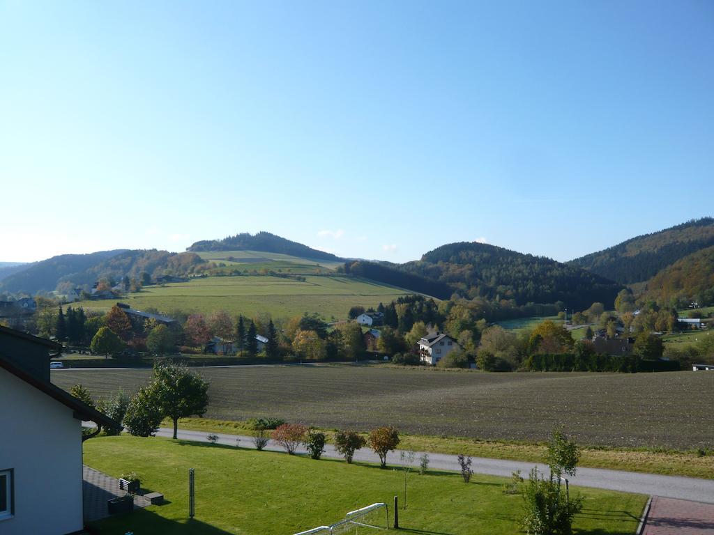 Willa Haus Talblick Willingen  Zewnętrze zdjęcie
