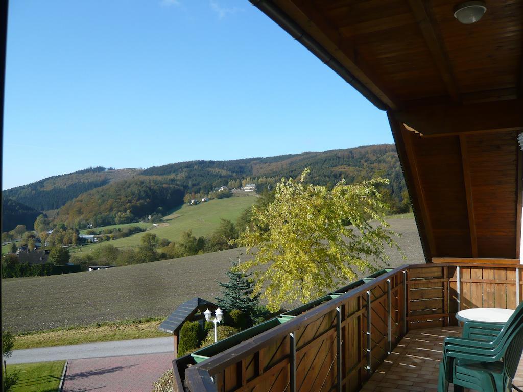 Willa Haus Talblick Willingen  Zewnętrze zdjęcie